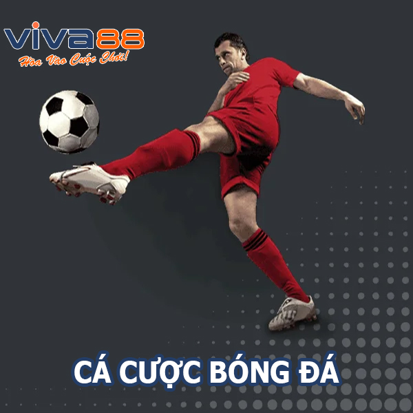 Cá cược bóng đá BONG88